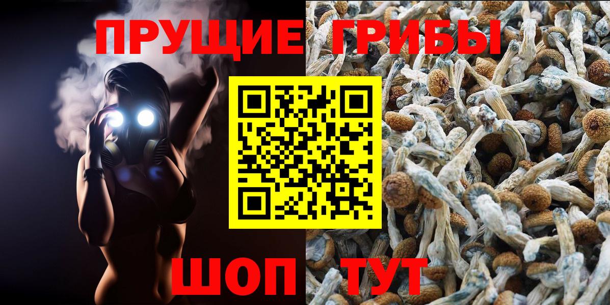 Южно-Сахалинск  Псилоцибиновые грибы MAGIC MUSHROOMS  хочу наркоту  Вход с VPN 