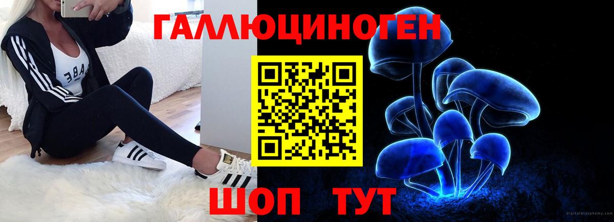 Галлюциногенные грибы Cubensis Южно-Сахалинск