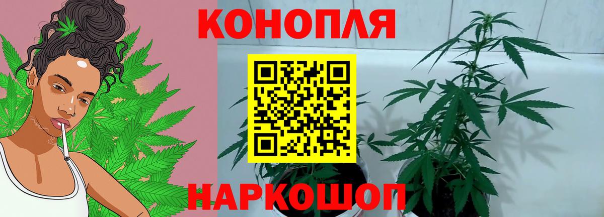 Канабис гибрид Южно-Сахалинск